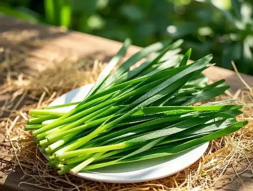 韭菜